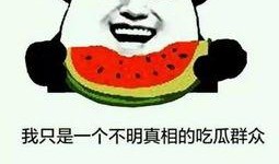 现在说的吃瓜什么意思,网络时代的围观文化现象