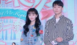 娱乐圈吃瓜400页,400页吃瓜手册深度解析