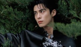 吃瓜娱乐间王鹤棣,吃瓜娱乐间，揭秘明星背后的故事